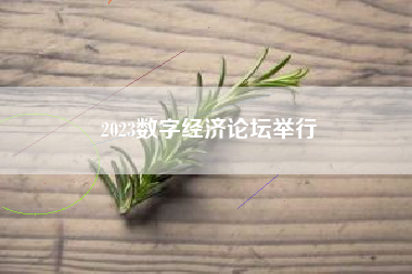 2023数字经济论坛举行
