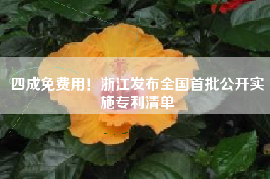 四成免费用！浙江发布全国首批公开实施专利清单