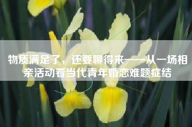 物质满足了，还要聊得来——从一场相亲活动看当代青年婚恋难题症结