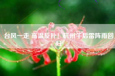 台风一走 高温反扑！杭州午后雷阵雨回归