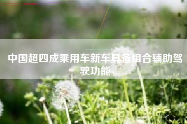 中国超四成乘用车新车具备组合辅助驾驶功能