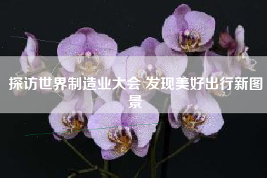 探访世界制造业大会 发现美好出行新图景