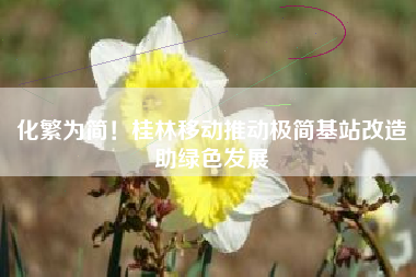 化繁为简！桂林移动推动极简基站改造助绿色发展