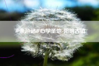 #余游记#心学圣地-阳明古镇