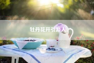 牡丹花开引游人