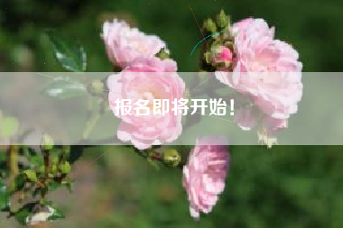 报名即将开始！