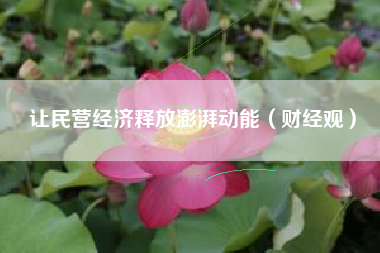 让民营经济释放澎湃动能（财经观）