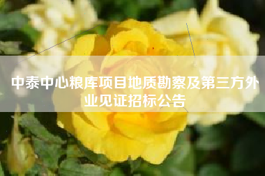 中泰中心粮库项目地质勘察及第三方外业见证招标公告