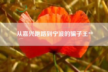从嘉兴跑路到宁波的骗子王**