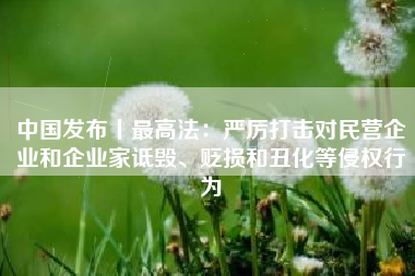中国发布丨最高法：严厉打击对民营企业和企业家诋毁、贬损和丑化等侵权行为