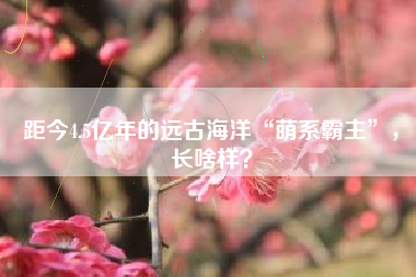 距今4.5亿年的远古海洋“萌系霸主”，长啥样？