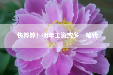 快算算！明年工资或多一笔钱