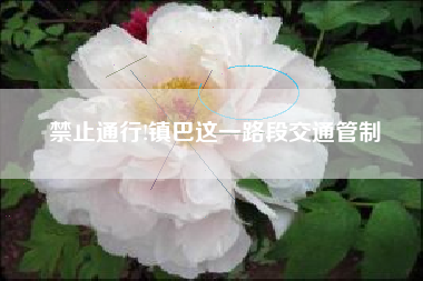禁止通行!镇巴这一路段交通管制