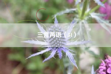 三言两语（31）