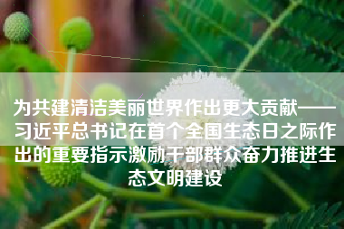 为共建清洁美丽世界作出更大贡献——习近平总书记在首个全国生态日之际作出的重要指示激励干部群众奋力推进生态文明建设