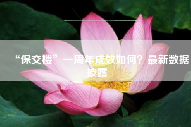 “保交楼”一周年成效如何？最新数据披露