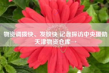 物资调拨快、发放快 记者探访中央援助天津物资仓库→