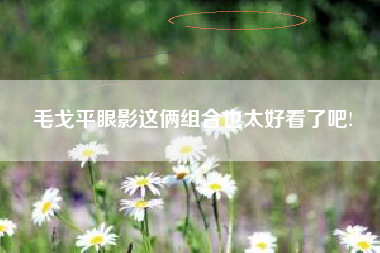 毛戈平眼影这俩组合也太好看了吧!
