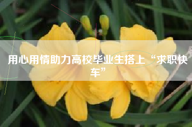 用心用情助力高校毕业生搭上“求职快车”