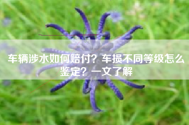 车辆涉水如何赔付？车损不同等级怎么鉴定？一文了解