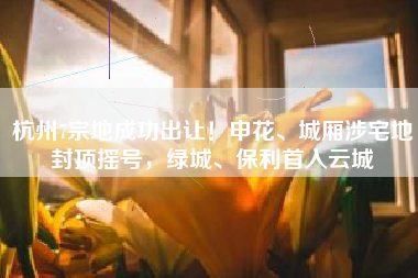 杭州7宗地成功出让！申花、城厢涉宅地封顶摇号，绿城、保利首入云城