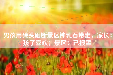 男孩用砖头砸断景区钟乳石带走，家长：孩子喜欢；景区：已报警