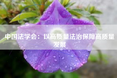 中国法学会：以高质量法治保障高质量发展