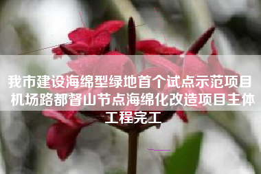 我市建设海绵型绿地首个试点示范项目 机场路都督山节点海绵化改造项目主体工程完工