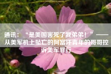 通讯：“是美国害死了我弟弟！”——从美军机上坠亡的阿富汗青年的哥哥控诉美军罪行
