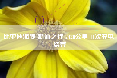 比亚迪海豚 潮汕之行 2420公里 11次充电 结束