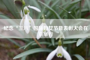 纪念“三八”国际妇女节暨表彰大会在京举行