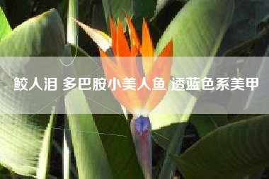 鲛人泪 多巴胺小美人鱼 透蓝色系美甲