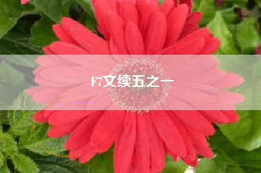 F7文续五之一