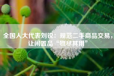 全国人大代表刘锐：规范二手商品交易，让闲置品“物尽其用”