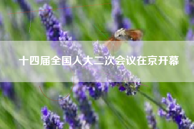 十四届全国人大二次会议在京开幕
