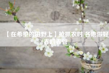 【在希望的田野上】抢抓农时 各地做好春耕春管