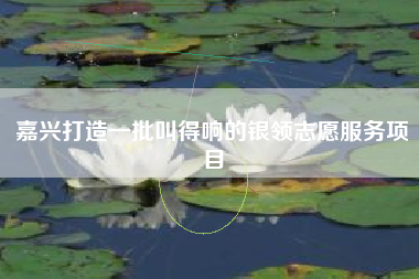 嘉兴打造一批叫得响的银领志愿服务项目