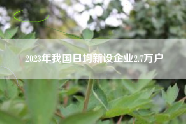 2023年我国日均新设企业2.7万户