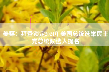 美媒：拜登锁定2024年美国总统选举民主党总统候选人提名