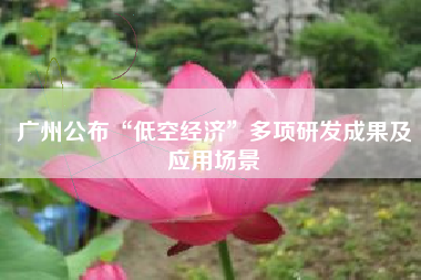 广州公布“低空经济”多项研发成果及应用场景
