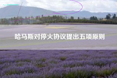 哈马斯对停火协议提出五项原则