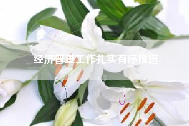 经济普查工作扎实有序推进