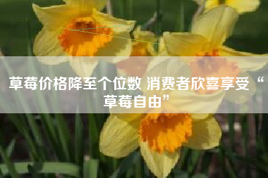 草莓价格降至个位数 消费者欣喜享受“草莓自由”