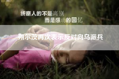 朔尔茨再次表示反对向乌派兵