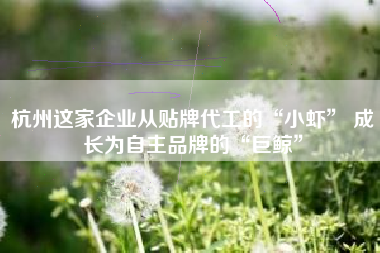 杭州这家企业从贴牌代工的“小虾” 成长为自主品牌的“巨鲸”
