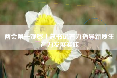 两会第一观察丨总书记有力指导新质生产力发展实践