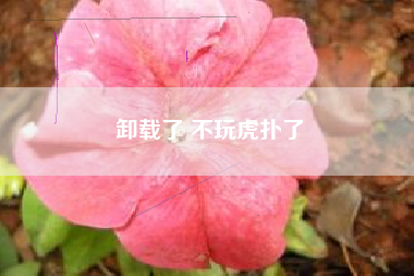 卸载了 不玩虎扑了