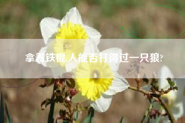 拿着铁棍,人能否打得过一只狼?