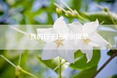 我的日子还是很简单