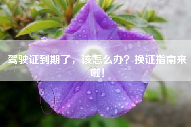 驾驶证到期了，该怎么办？换证指南来啦！